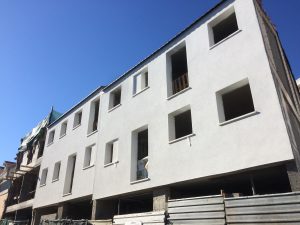 IMG_6552